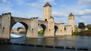 Traitement punaises de lit Cahors